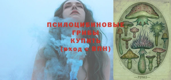 2c-b Богданович