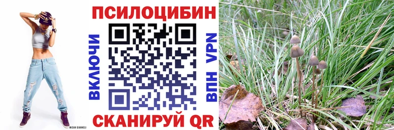 это состав Волжск Псилоцибиновые грибы мухоморы